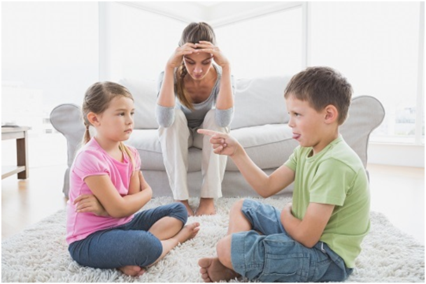 Photo : Shutterstock